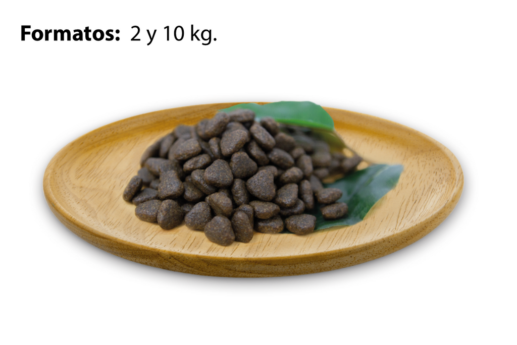 Natural Greatness Receta Salmon - Sensitive