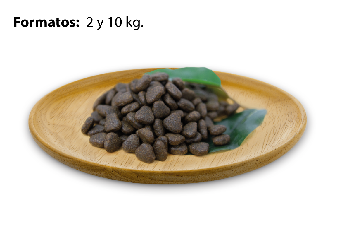 Natural Greatness Receta Salmon - Sensitive