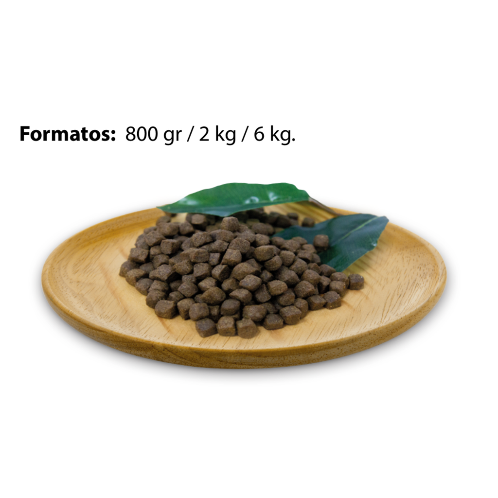 Natural Greatness Receta de Pollo Puppy - Starter