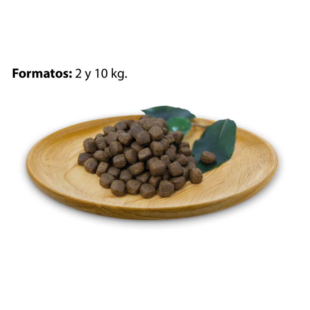 Natural Greatness Receta de Pavo