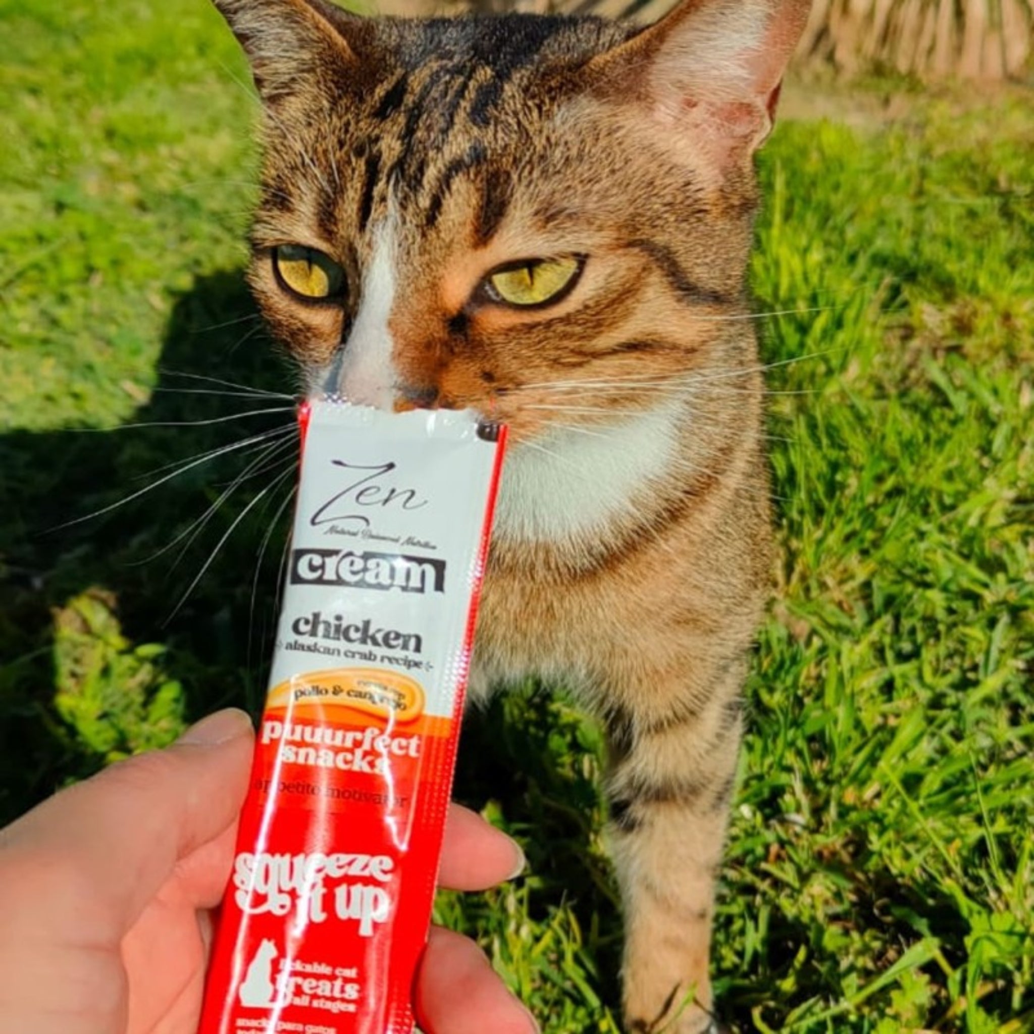 Zen cream - Pollo & Cangrejo 4 x 15gr.