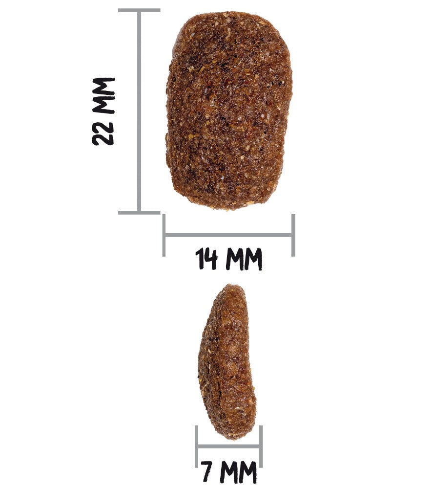 OWNAT CLASSIC COMPLET (DOG)