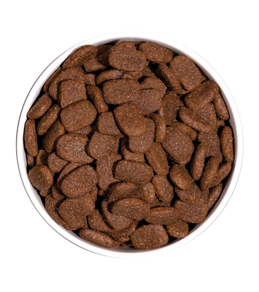 OWNAT CLASSIC COMPLET (DOG)