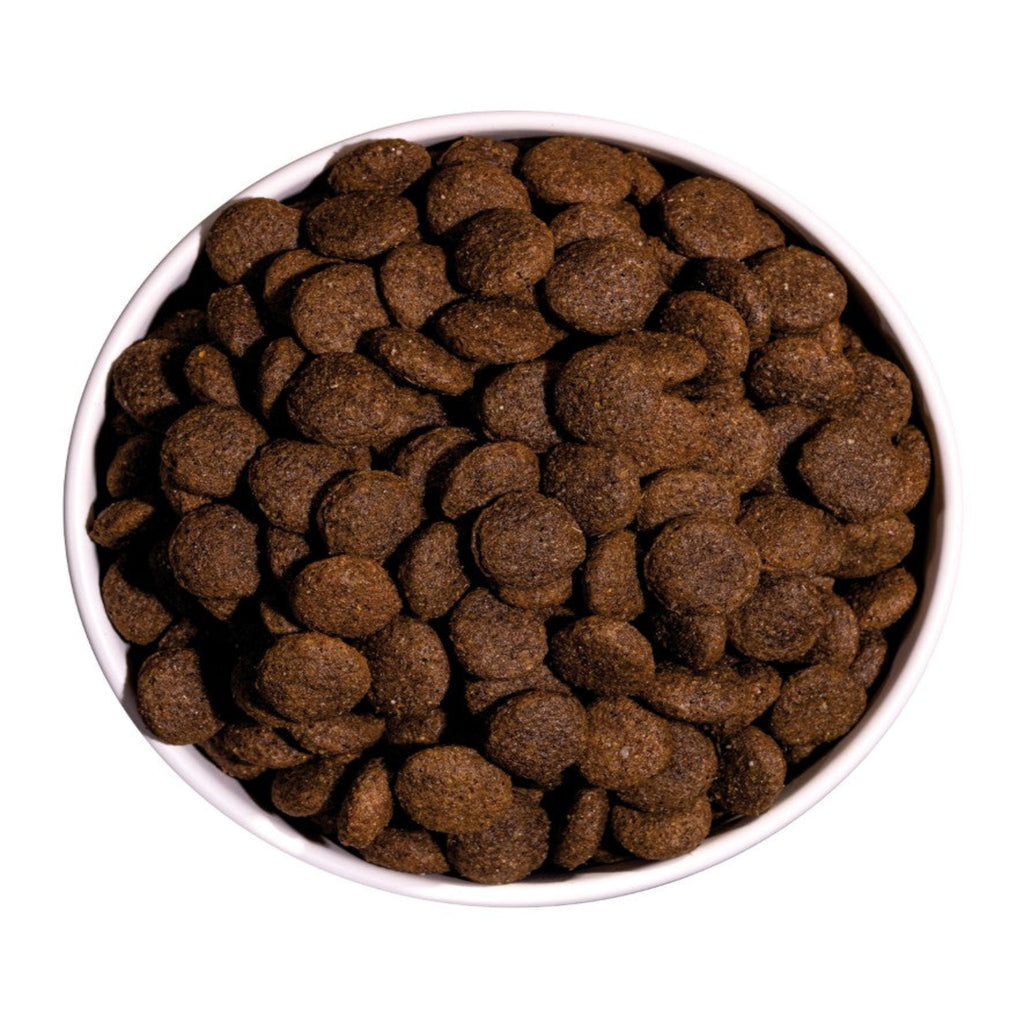 OWNAT CLASSIC DUCK (DOG)- PATO