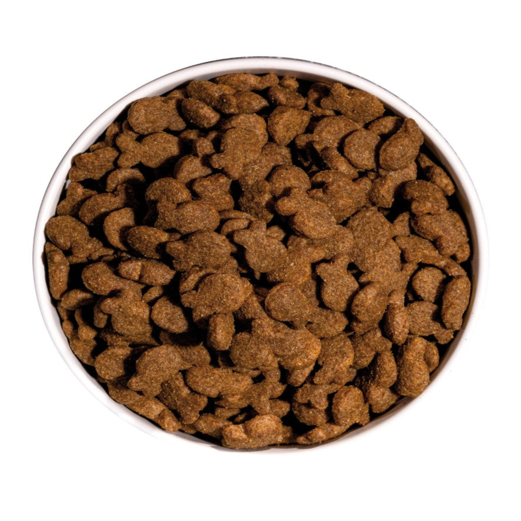 OWNAT CLASSIC FISH (DOG)