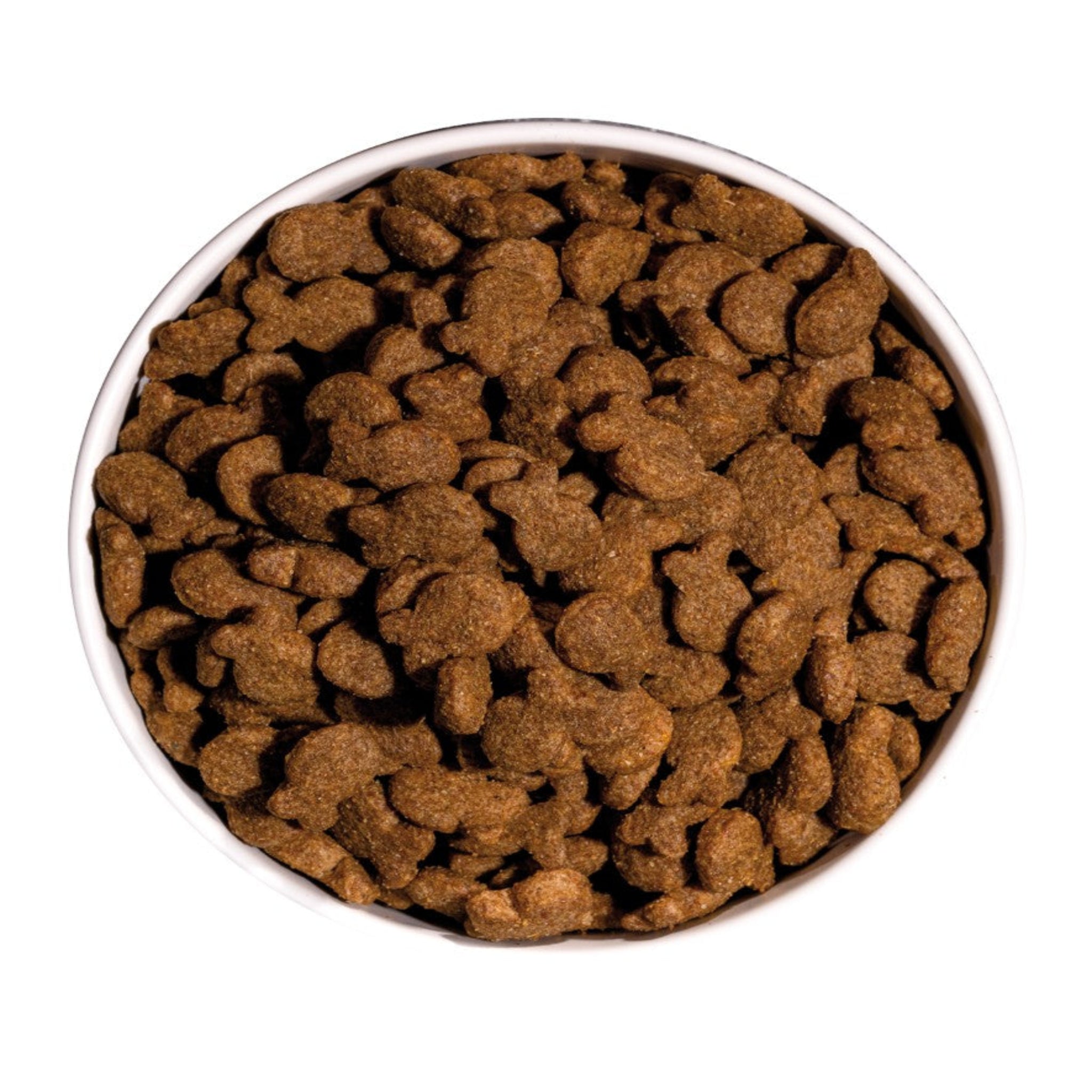 OWNAT CLASSIC FISH (DOG)