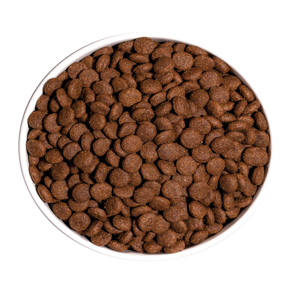 OWNAT CLASSIC JUNIOR (DOG)