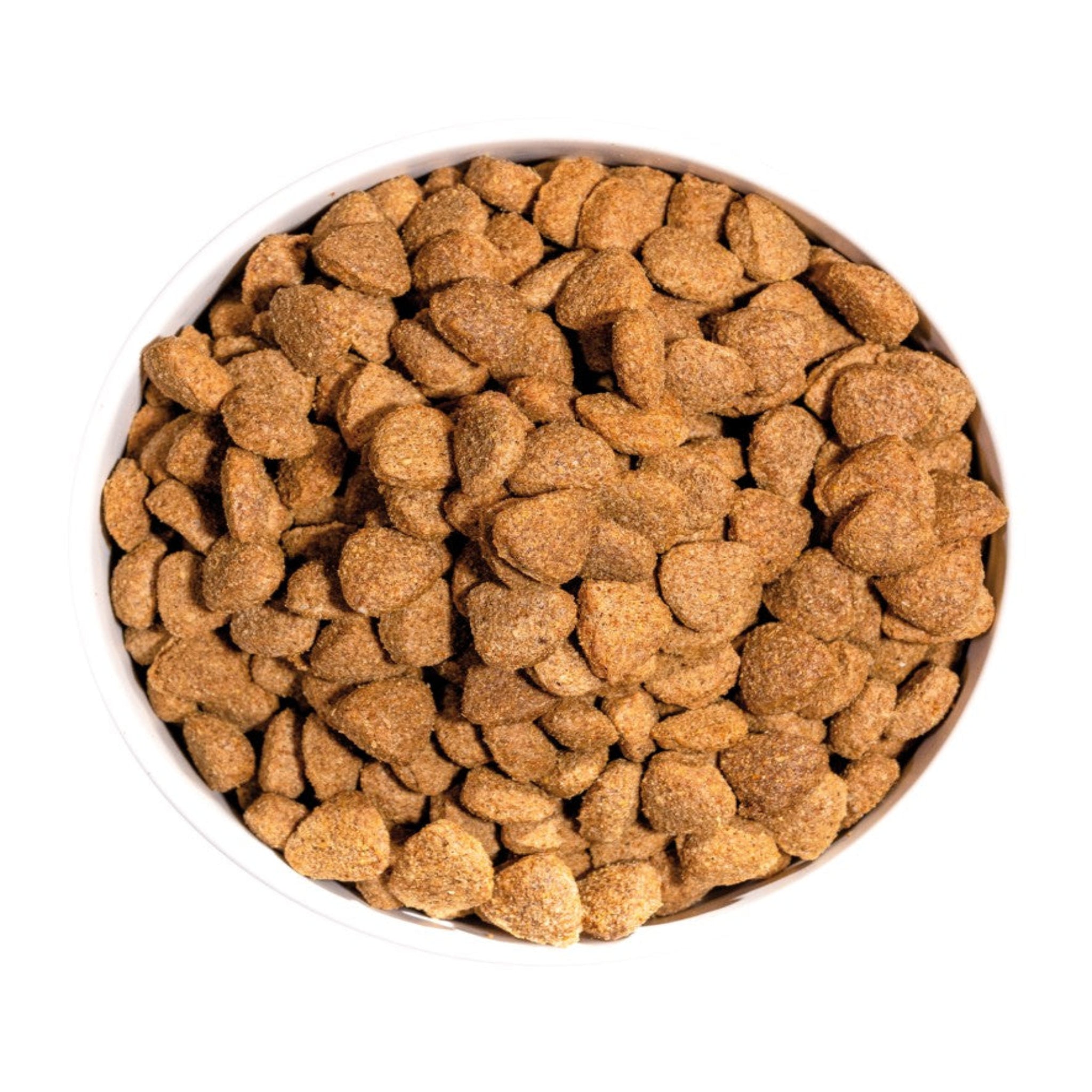 OWNAT CLASSIC LIGHT (DOG)