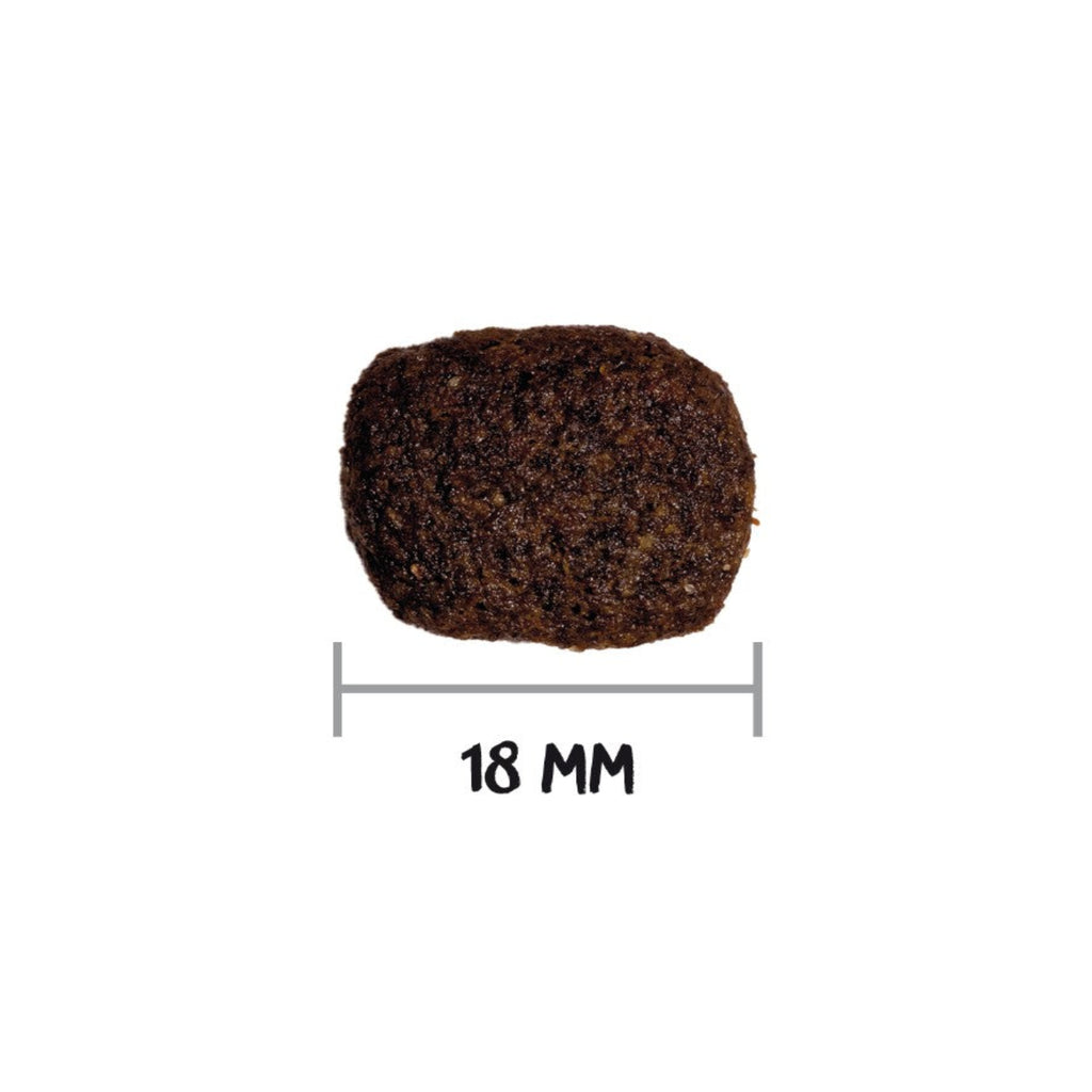 OWNAT GF HYPO LAMB (DOG)