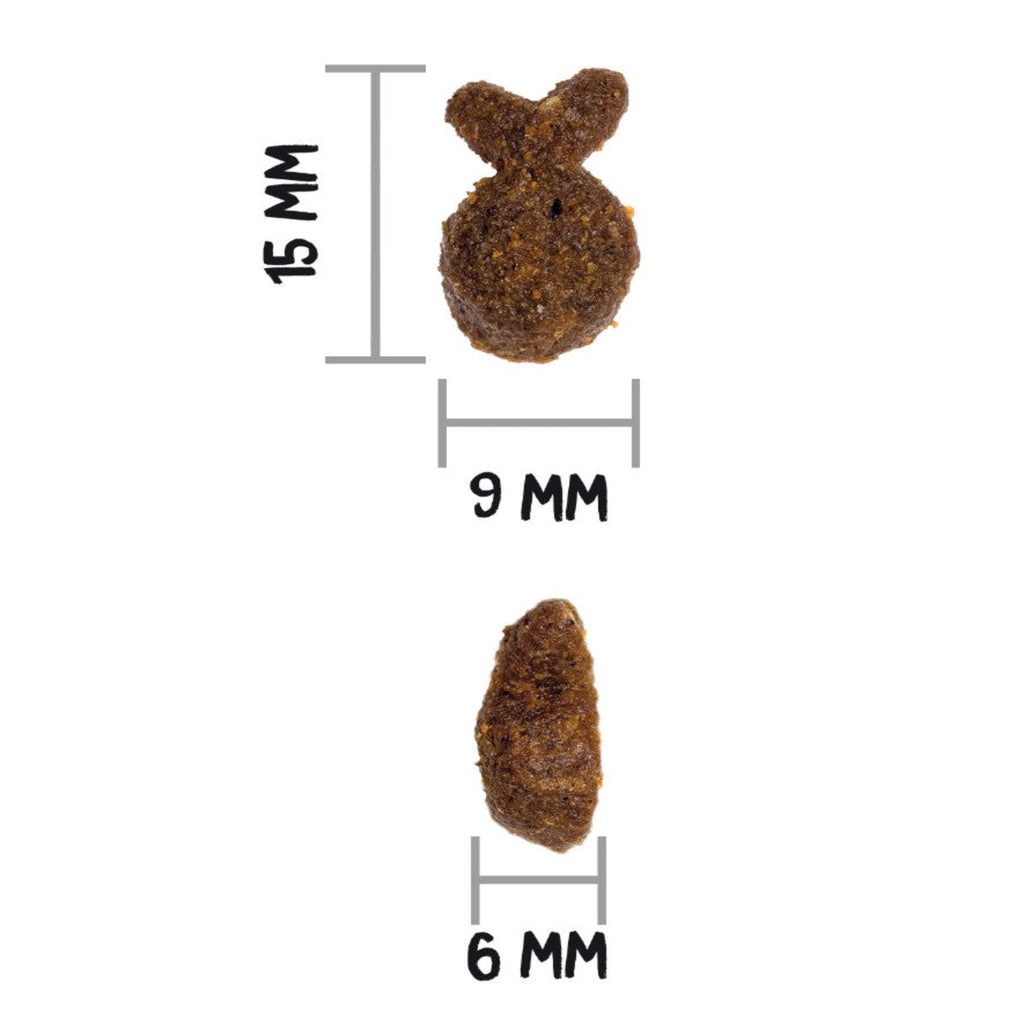 OWNAT GF JUST TROUT (DOG)