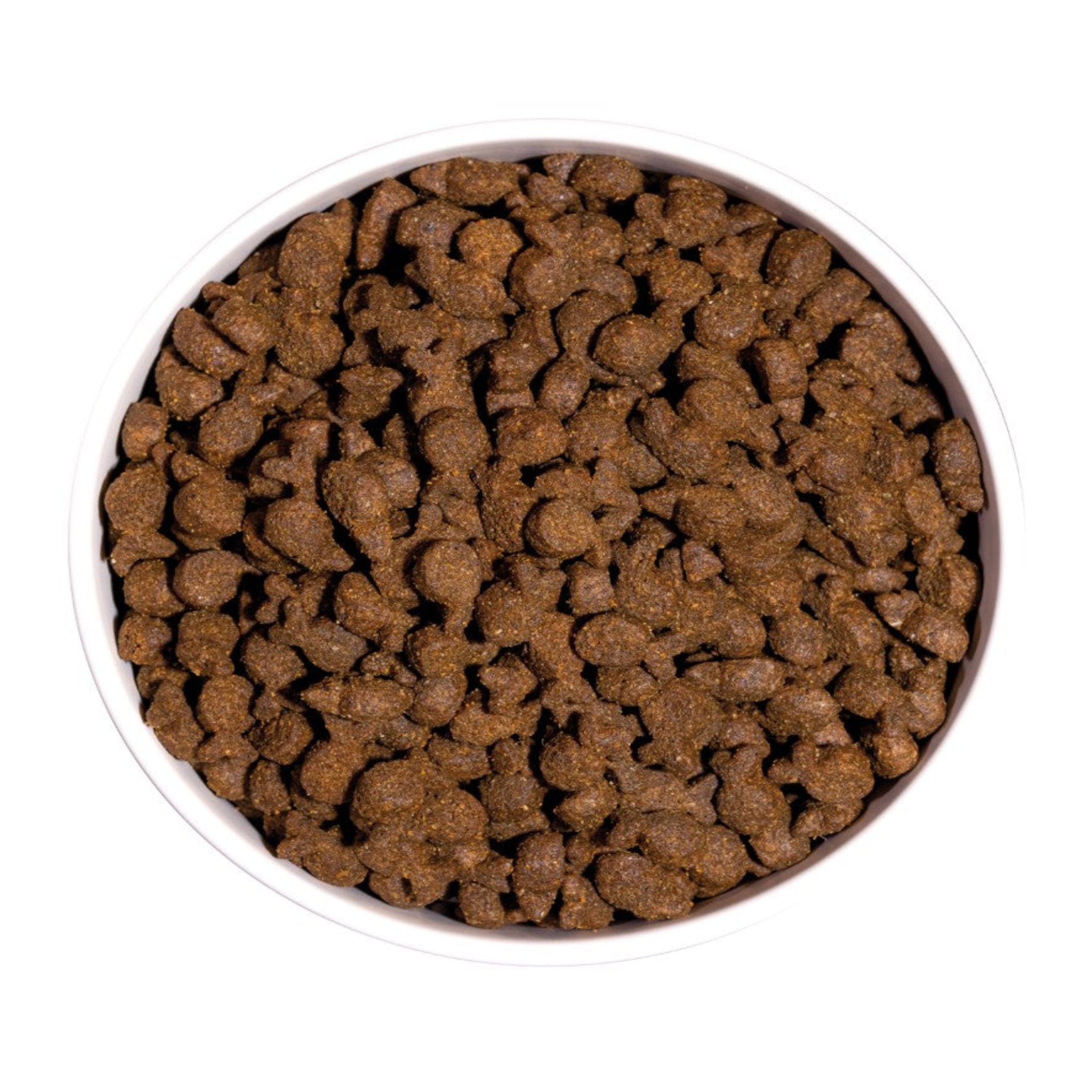 OWNAT GF JUST TROUT (DOG)