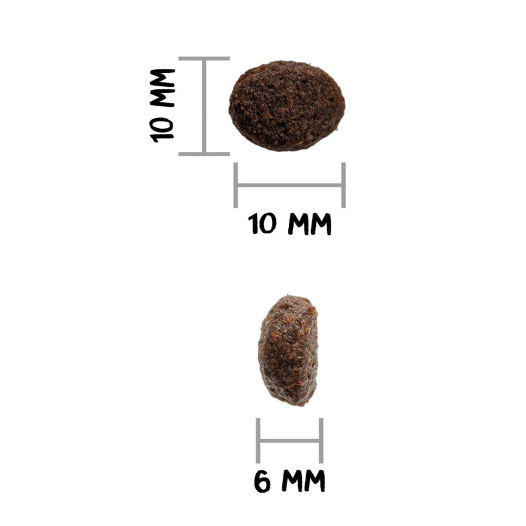 OWNAT GF JUST JUNIOR (DOG)