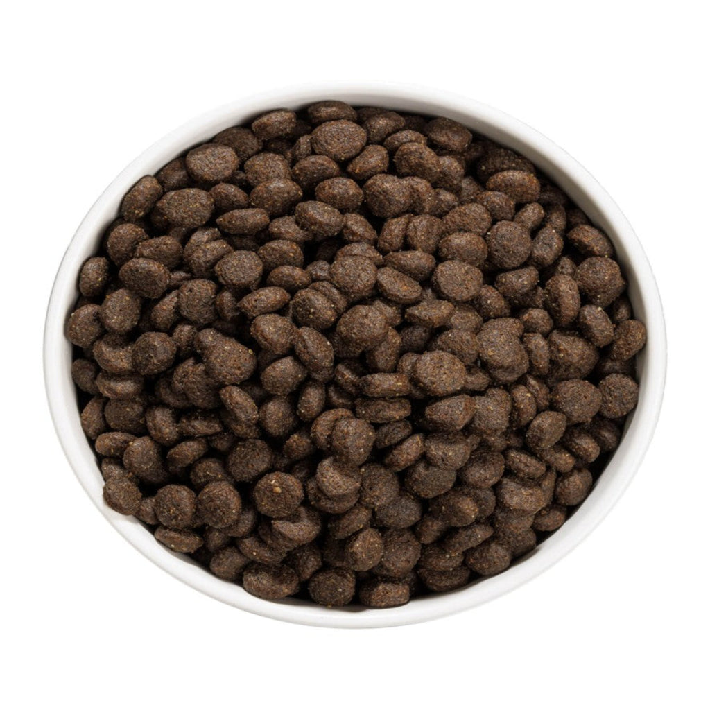 OWNAT GF JUST JUNIOR (DOG)