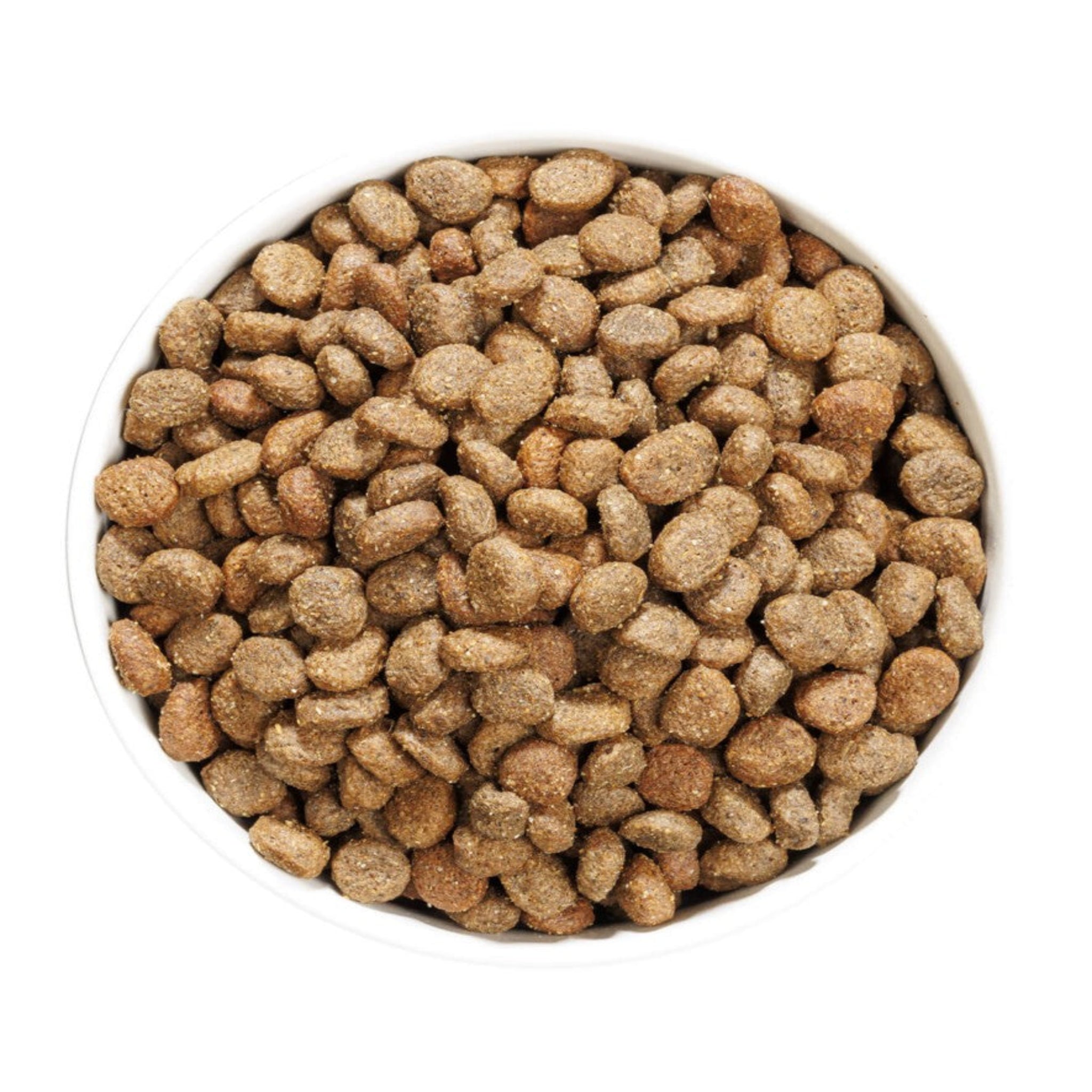 OWNAT GF HYPO MINI LAMB (DOG) cordero