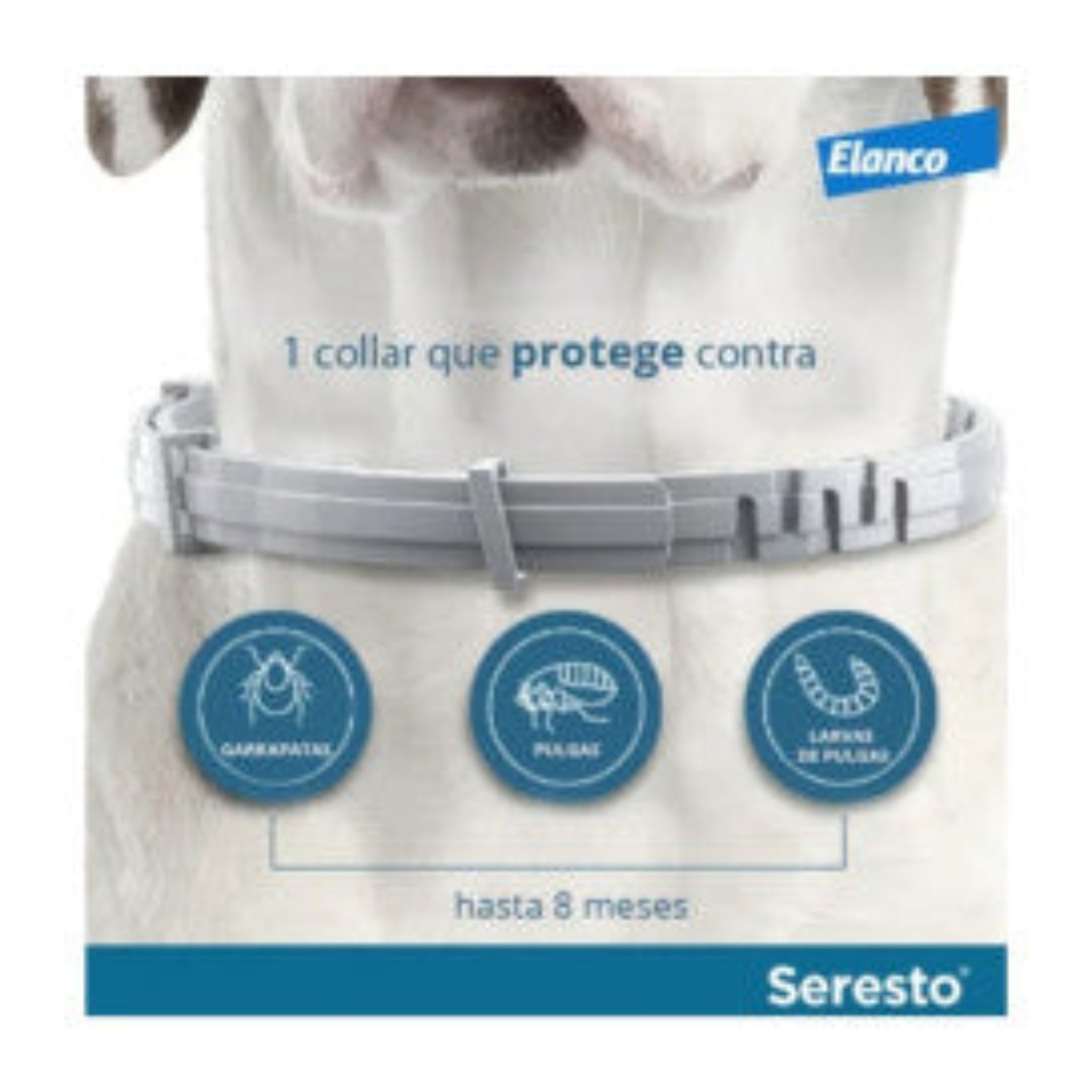 Pack de 12 Collar Seresto Antiparasitario